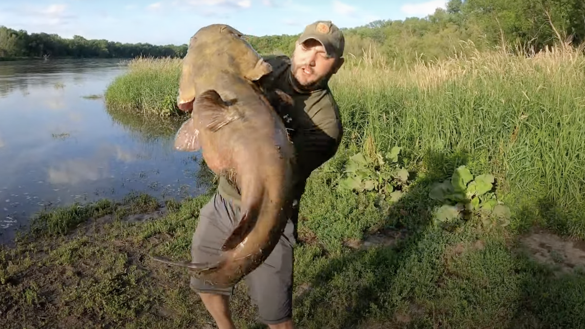 Video: Iowa Angler Boats 71-Pound Flathead Catfish