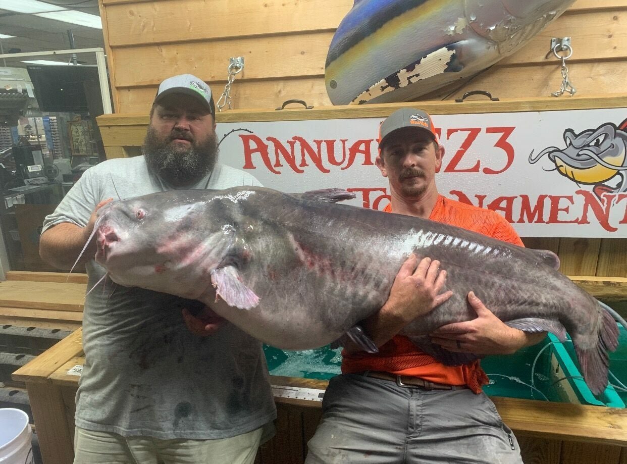 This 127-Pound “Dinosaur” Blue Catfish is a New State Record in North Carolina