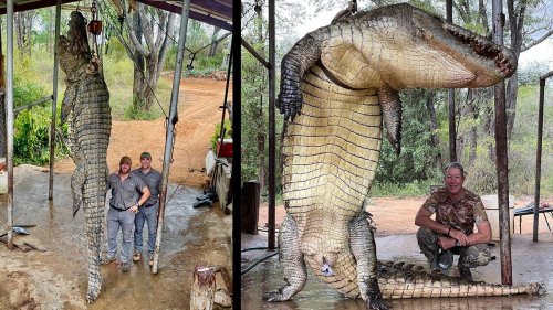 American Hunter Bags “Man-eating Dinosaur of a Croc” in Africa