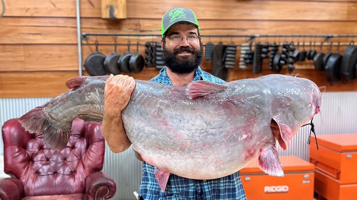 Trotline Fisherman Catches 104-Pound Mississippi State Record Blue Catfish