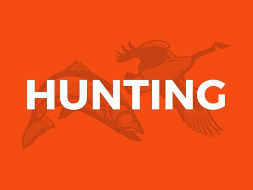 Wounded Deer Attacks and Injures Louisiana Hunter