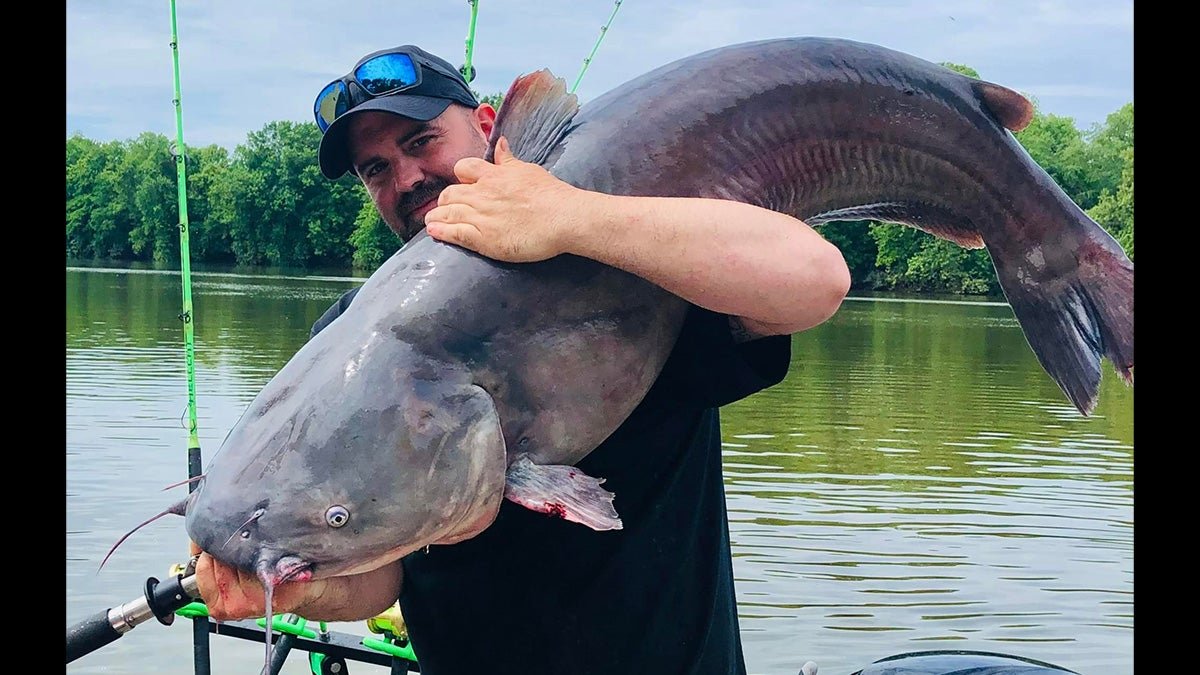 Angler Smashes West Virginia State Record with 67-Pound Blue Catfish