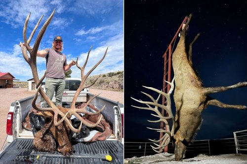 New Mexico Hunter’s Giant 8×8 Bull Elk Could Set a New State Record