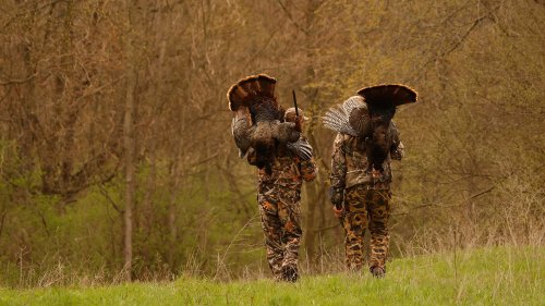 3 Key Takeaways from the 2023 Spring Turkey Season