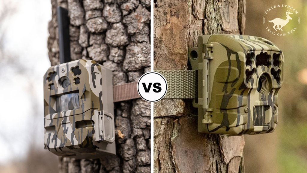 Trail Camera - cover