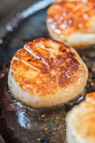 It's Time You Know The Truth About Scallops