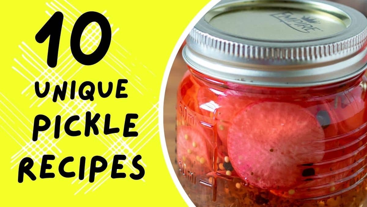 Unique Pickle Recipes