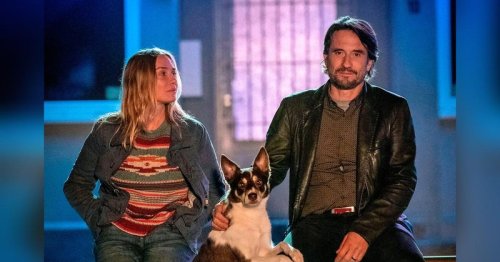 Die besten TV-Tipps für Freitag, den 23. Mai 2025