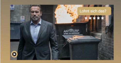"Fubar"-Kritik: Lohnt sich Serie mit Schwarzenegger auf Netflix?