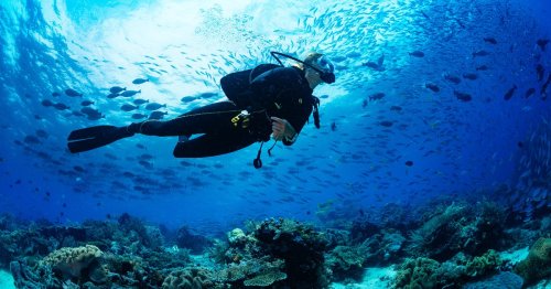 13 Unbelievably Cool Places to Scuba Dive in the U.S.