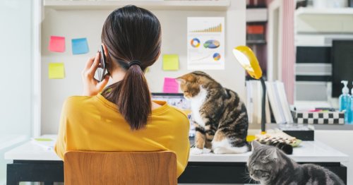 15 Work-From-Home Jobs That Pay at Least $65,000 a Year