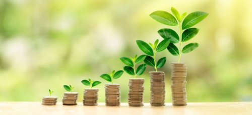 Dividendensatz vs. Dividendenrendite: Unterschiede und Bedeutung für Investoren