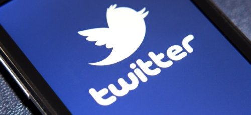 Nach Twitter-Kauf: Musk verspricht "Amnestie" für gesperrte Twitter-Konten - verschiedenfarbige Verifikationshäkchen angekündigt
