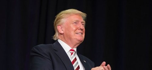 Datenanalyse zu Trumps Meme-Coin: Einige wenige Gewinner machen enormen Profit