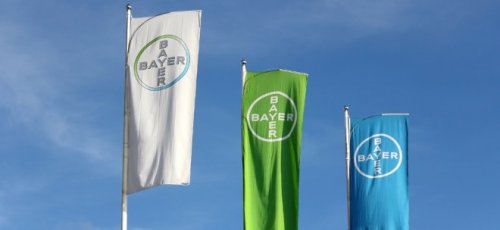 Bayer-Aktie gefragt: Bill Anderson übernimmt Bayer-Konzernspitze - Rechte an Krebs-Wirkstoffen gesichert