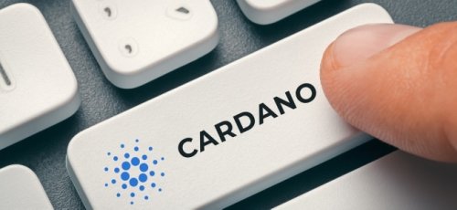 Cardano kaufen – diese Möglichkeiten gibt es
