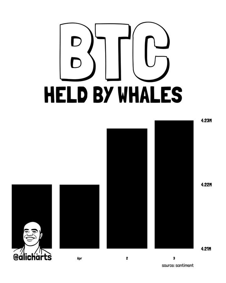 Bitcoin price prediction as whales acquire 10,000 BTC