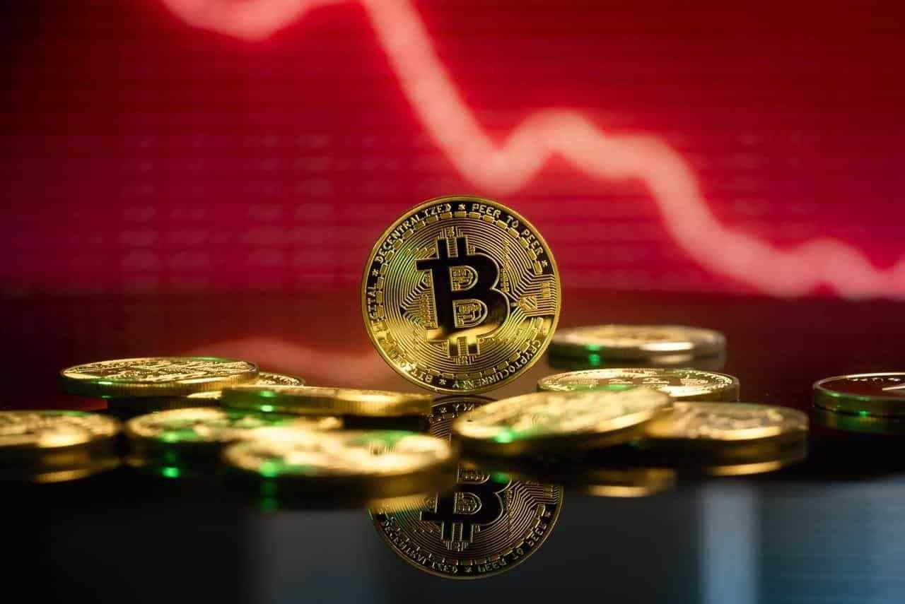 Renowned economist warns Bitcoin’s crash will be horrendous’