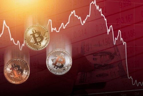Bitcoin’s crash will be ‘more spectacular than its rally,’ US economist says