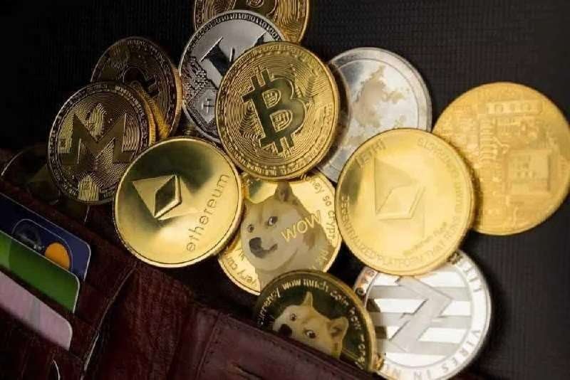 Crypto expert predicts ‘most altcoins will die’