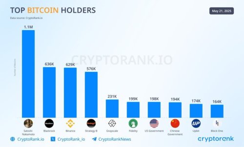 BlackRock becomes the second-largest holder of Bitcoin globally