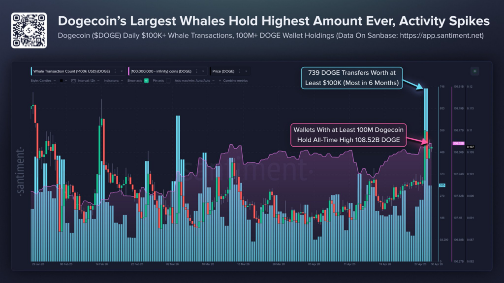 Dogecoin whales hit a 6-month high in activity