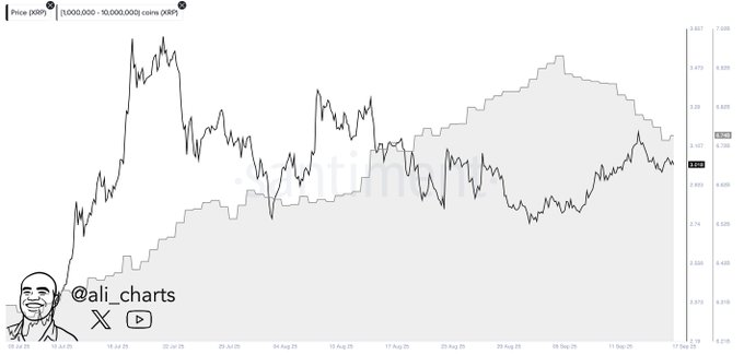 XRP price prediction as whales offload 200 million tokens