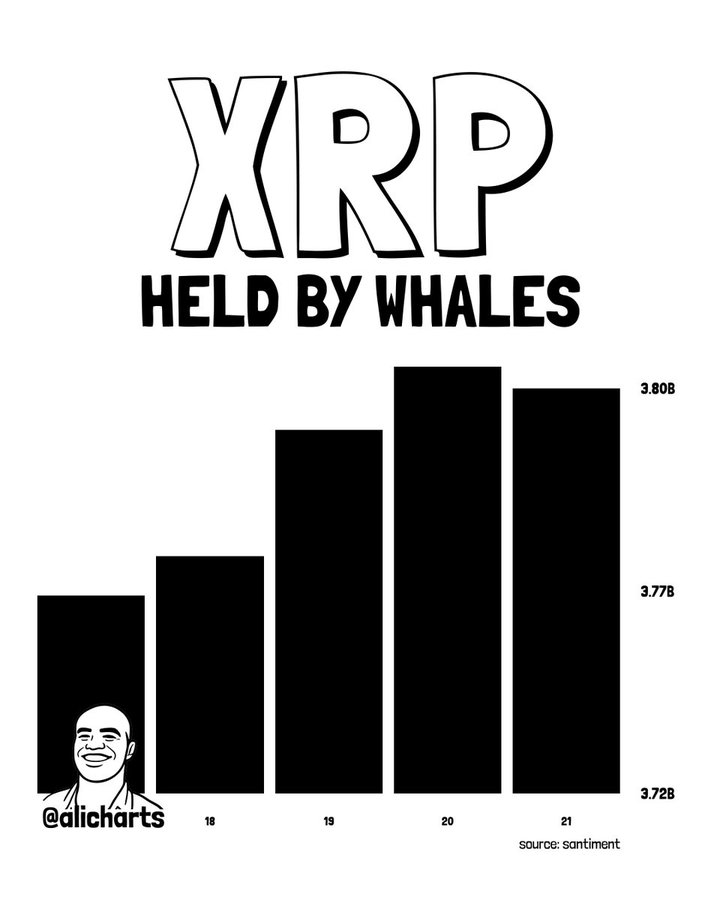XRP flashes key buy signal as whale accumulation spikes