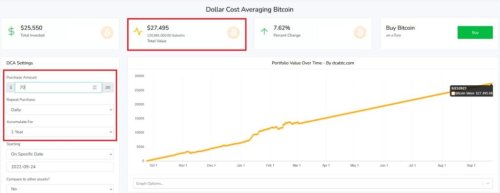 Invest this much USD daily in Bitcoin to own 1 full BTC in a year