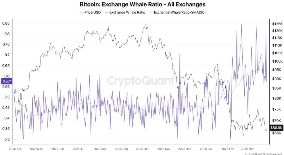 Bitcoin whales ramp up selling as bearish momentum builds