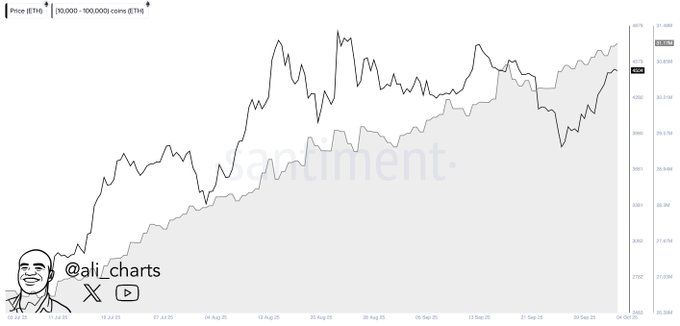 Ethereum price prediction as whales scoop 800k ETH in a week