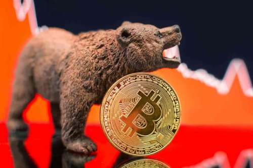Crypto expert indicates we’re in a ‘tempting bear market rally’ with potential gains up to 20%