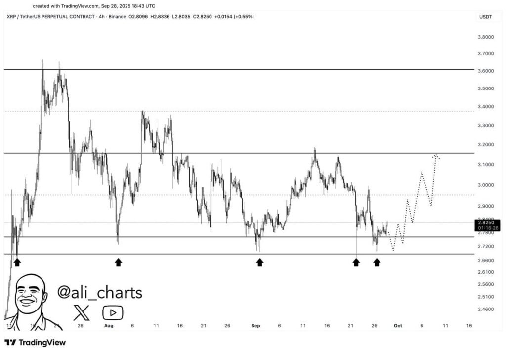 XRP whales scoop up 120 million tokens