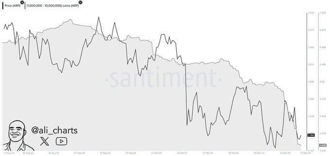 XRP in more trouble as whales dump 200 million tokens in 48 hours; Crash to $2 next?