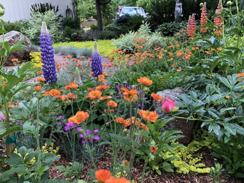 The Birth of Bonnie’s Flower Garden, Part 1