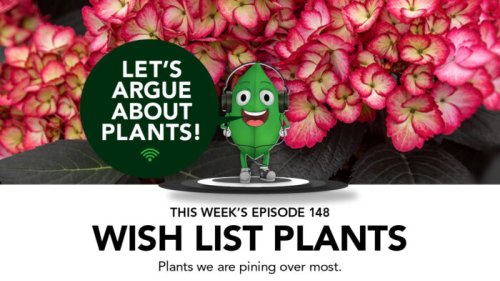Episode 148: Wish List Plants
