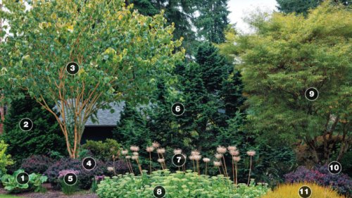 5 Planting Plans for Mixed Sun and Shade Garden Beds