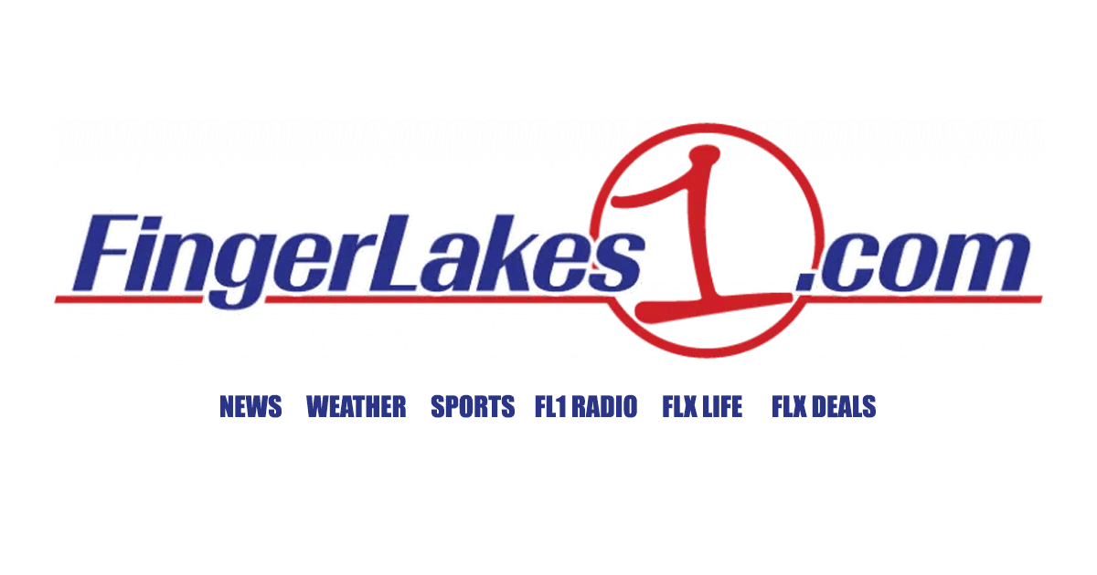 Top 3 UK Trading Platforms for Beginners in 2026