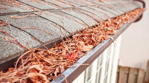 Home Pros Reveal 4 Genius Gutter-Cleaning Hacks That Don’t Require a Ladder