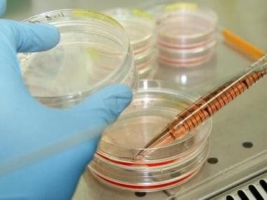 Fighting arthritis may be easier thanks to SMART cells built on CRISPR gene-editing tool