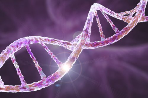 Der dramatische Effekt von Schlafmangel auf die DNA