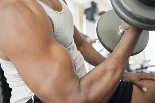 BCAA für die Muskeln – was bringen die Aminosäuren wirklich?