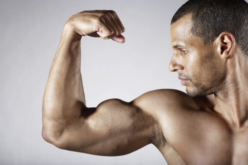 Was sind die Vorteile von dickeren Muskeln – und wie bekomme ich sie?