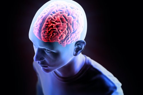 MIND-Ernährung – die „Gehirn-Diät“, die Demenz vorbeugen kann