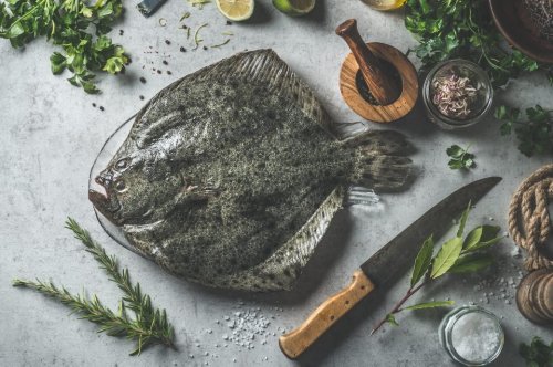 Wie gesund ist der Edelfisch Steinbutt?
