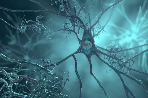 Alzheimer Risiko Senken? Ist Lithiummangel Der Zündfunke Für Alzheimer? Experten Tipps! - 6yccw07