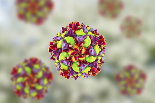 Polioviren in London aufgetaucht! Was man über Kinderlähmung wissen sollte