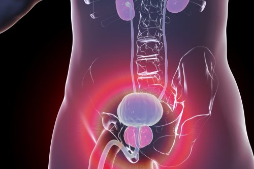 Leitungswasser und Prostatakrebs – Studie zeigt bedenklichen Zusammenhang