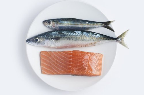 Menschen, die regelmäßig fetten Fisch essen, können abstrakter denken