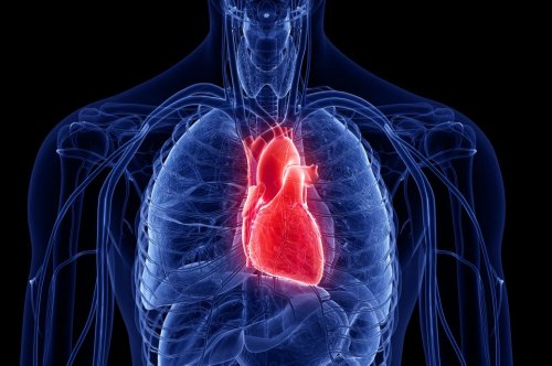 Mögliche Ursache für Herzmuskelentzündung nach Corona-Impfung gefunden